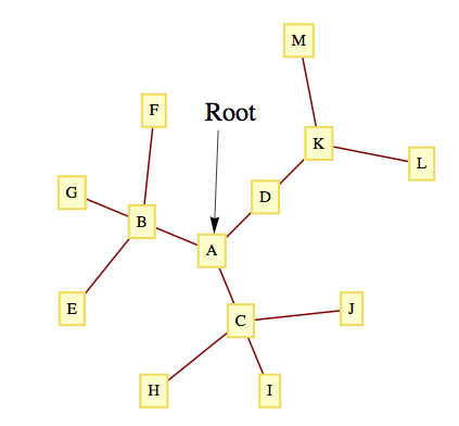 A Rooted Tree