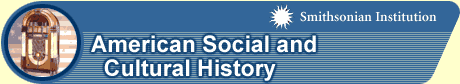 American social and cultural history