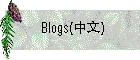 Blogs(中文）