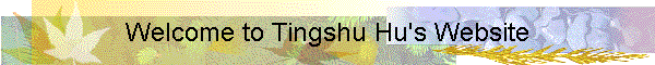 Welcome to Tingshu Hu's Website