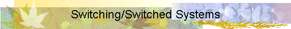Switching/Switched Systems