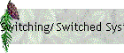 Switching/Switched Systems