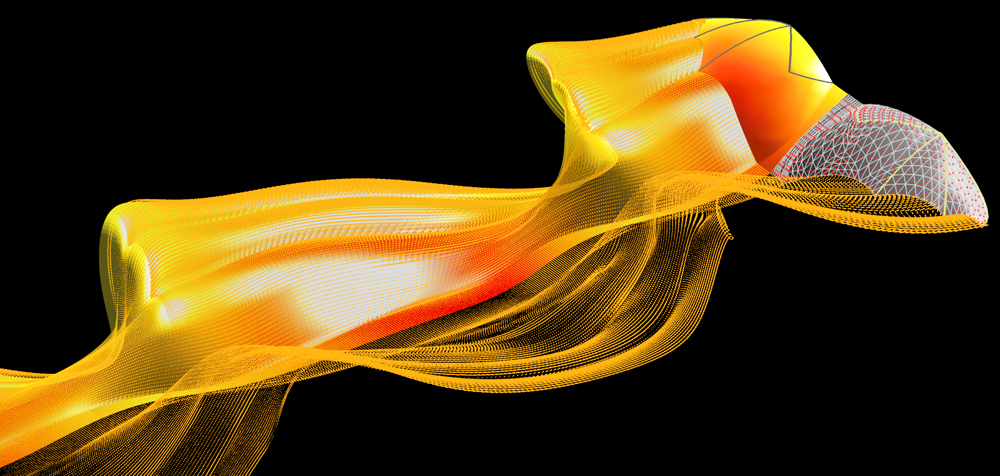 Modeling the flight of a bat: First Place in the NSF-Science Magazine Visualization Challenge -- Informational GRaphics 2007