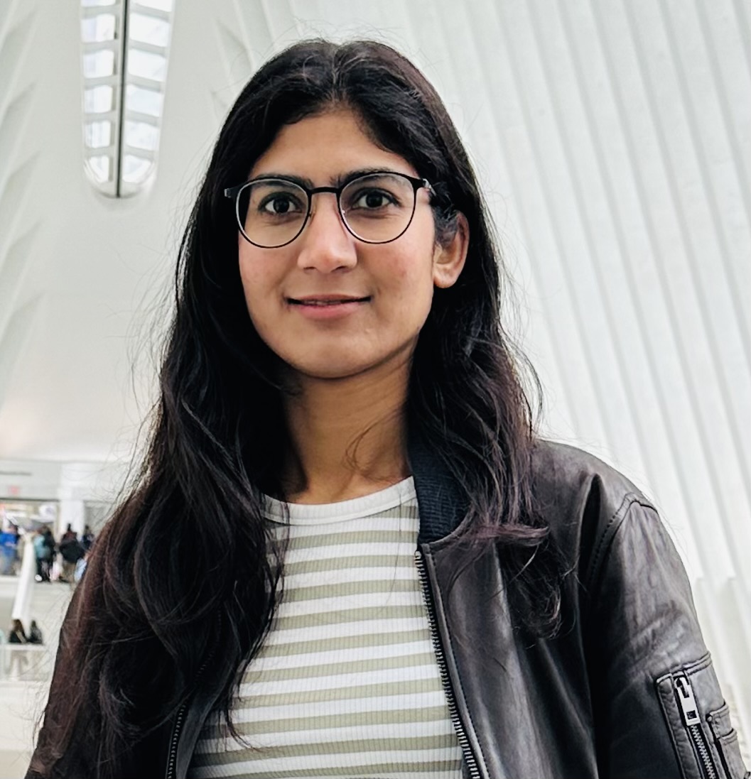 Krishna Suleria image