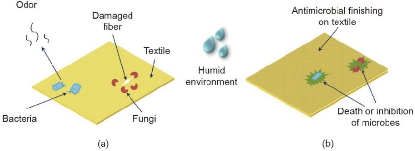 Anti-Microbial image